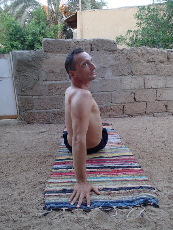 Gluteus and Back Stretch 2d